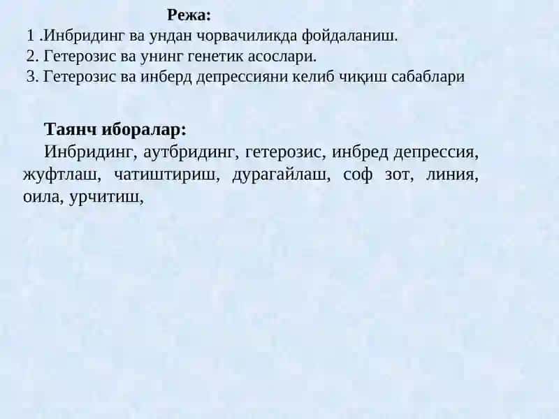 ИНБРЕД ДЕПРЕССИЯ ВА ГЕТЕРОЗИС ТЎҒРИСИДА ТУШУНЧА 2