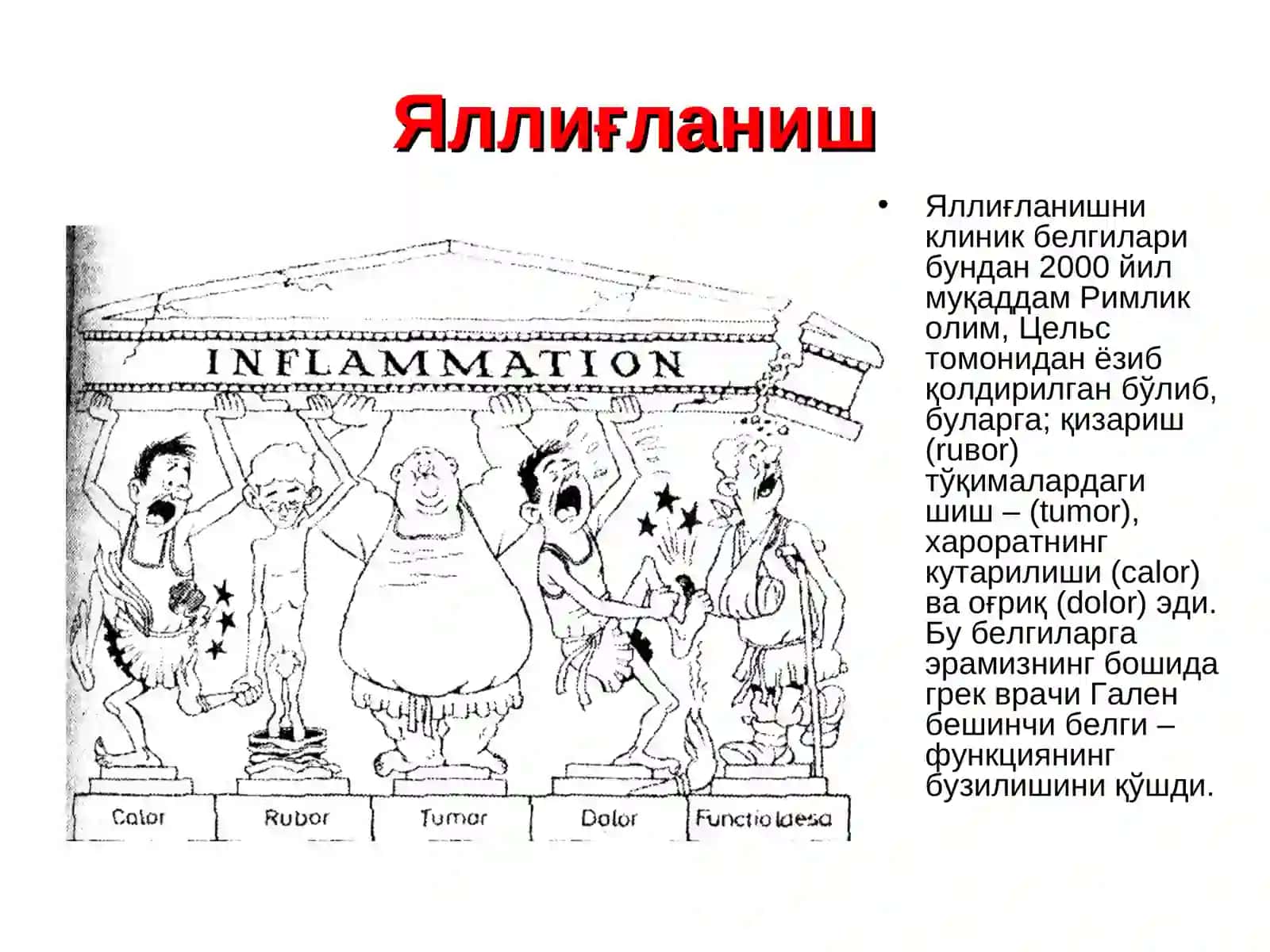 Яллиғланиш 2