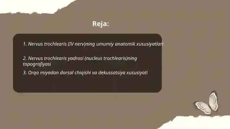 Nervus trochlearis klinik anatomiyasi 2
