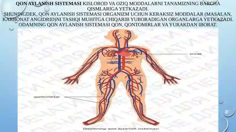 qonaylanishsistemasi2-qism 2