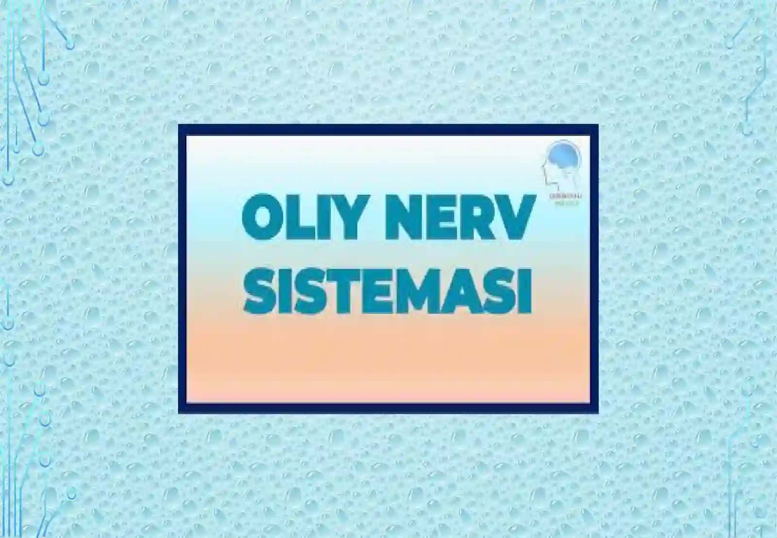 Oliy nerv faoliyati. Xotira xususiyatlarini aniqlas. Oliy nerv faoliyati tipini aniqlash 2