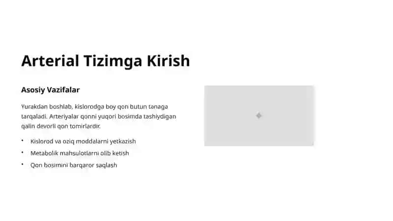 Arterial Tizim Anatomiyasi: Qon Tomirlarining Hayotiy Yoʻli 2