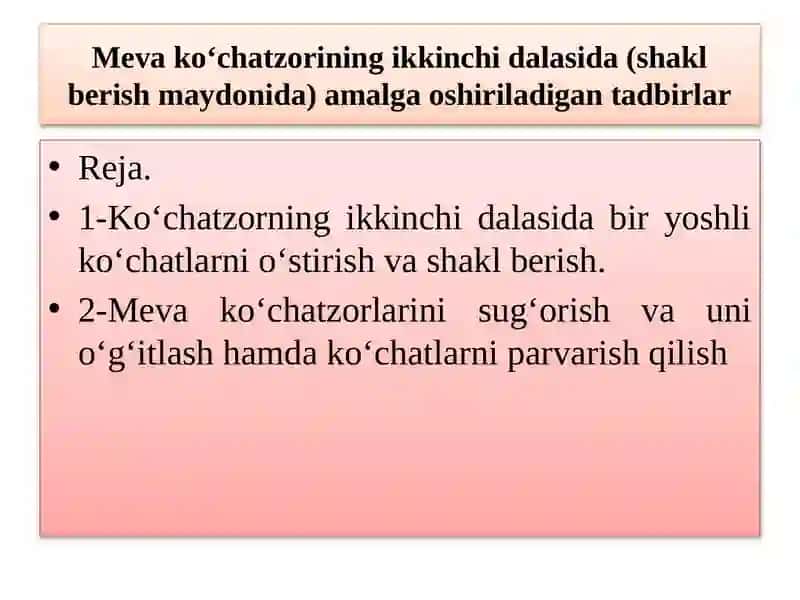 Meva ko‘chatzorining ikkinchi dalasida Tadbirlar Reja 2
