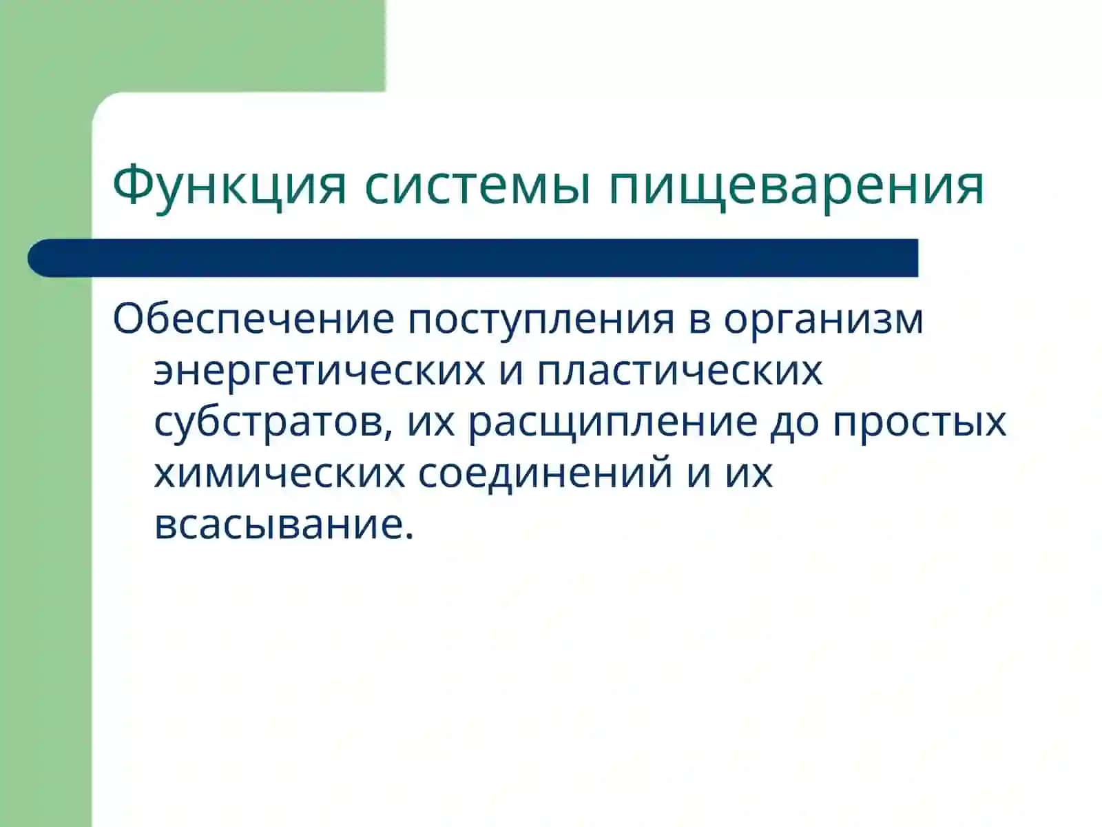 Патофизиология системы пищеварения 2