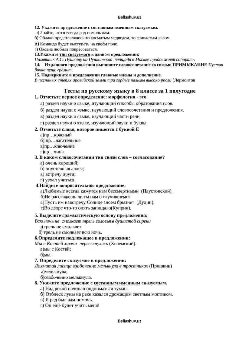 русскому языку в 8 классе за 1 полугодие 2