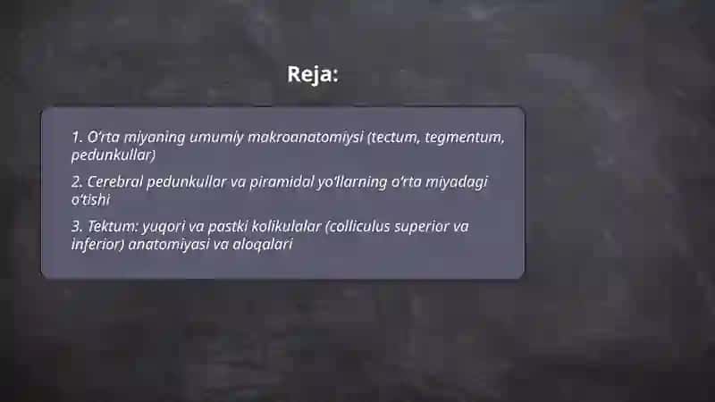 Oʻrta miya, oraliq miya va uchinchi qorinchaning anatomiyasi 2