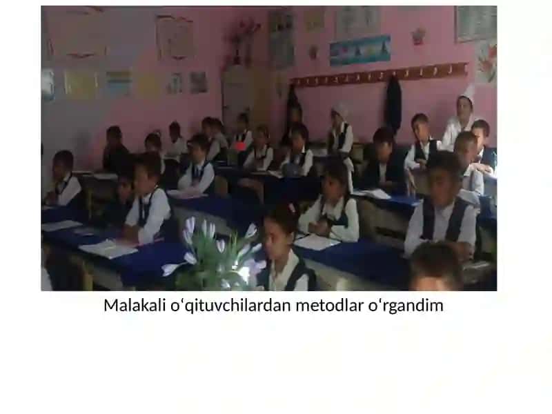 Pedagogika Malakasi 2