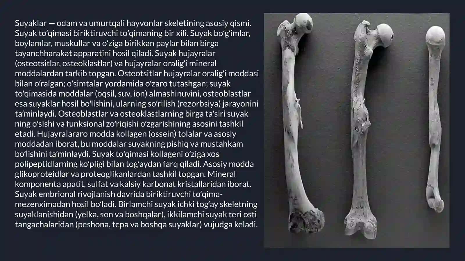 Kop tarmoqli tibbiyot texnikumi 2