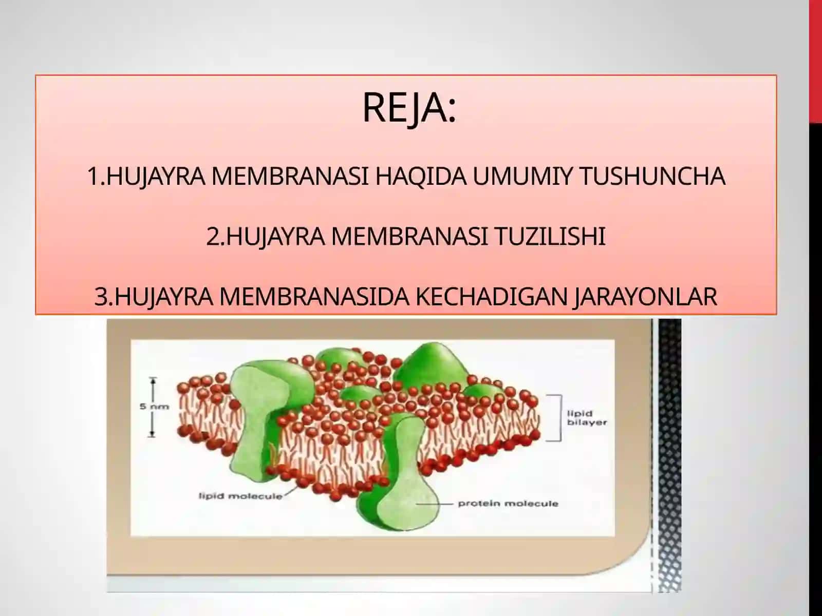 HUJAYRA MEMBRANASINING TUZILISHI. HUJAYRALARARO BOG’LANISH 2