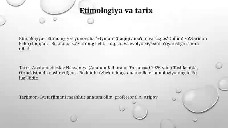 Anatomik Iboralar Tarjimasi 2