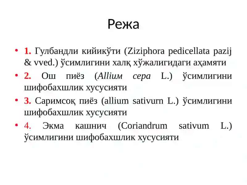 Гулбандли кийикўти (Ziziphorapedicellatapazij&vved.) 2