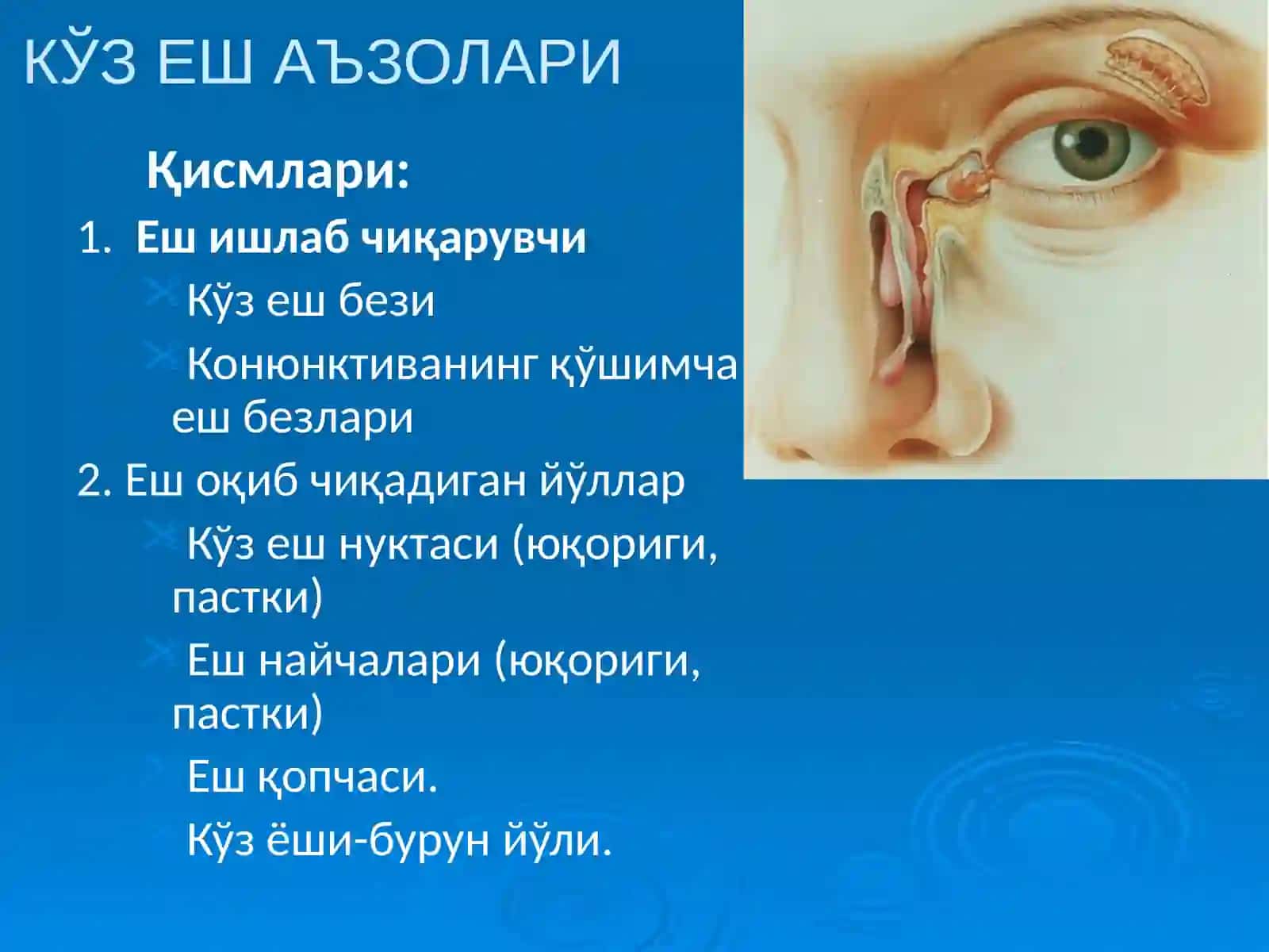 Кузёш аъзолари касалликлари. Патогенези, классифацияси, клиникаси, диагностикаси ва даволаш 2