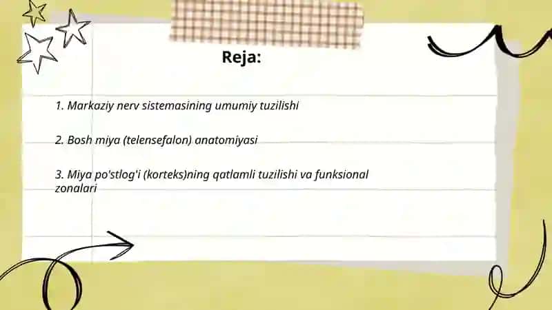 MNS tuzilishi 2