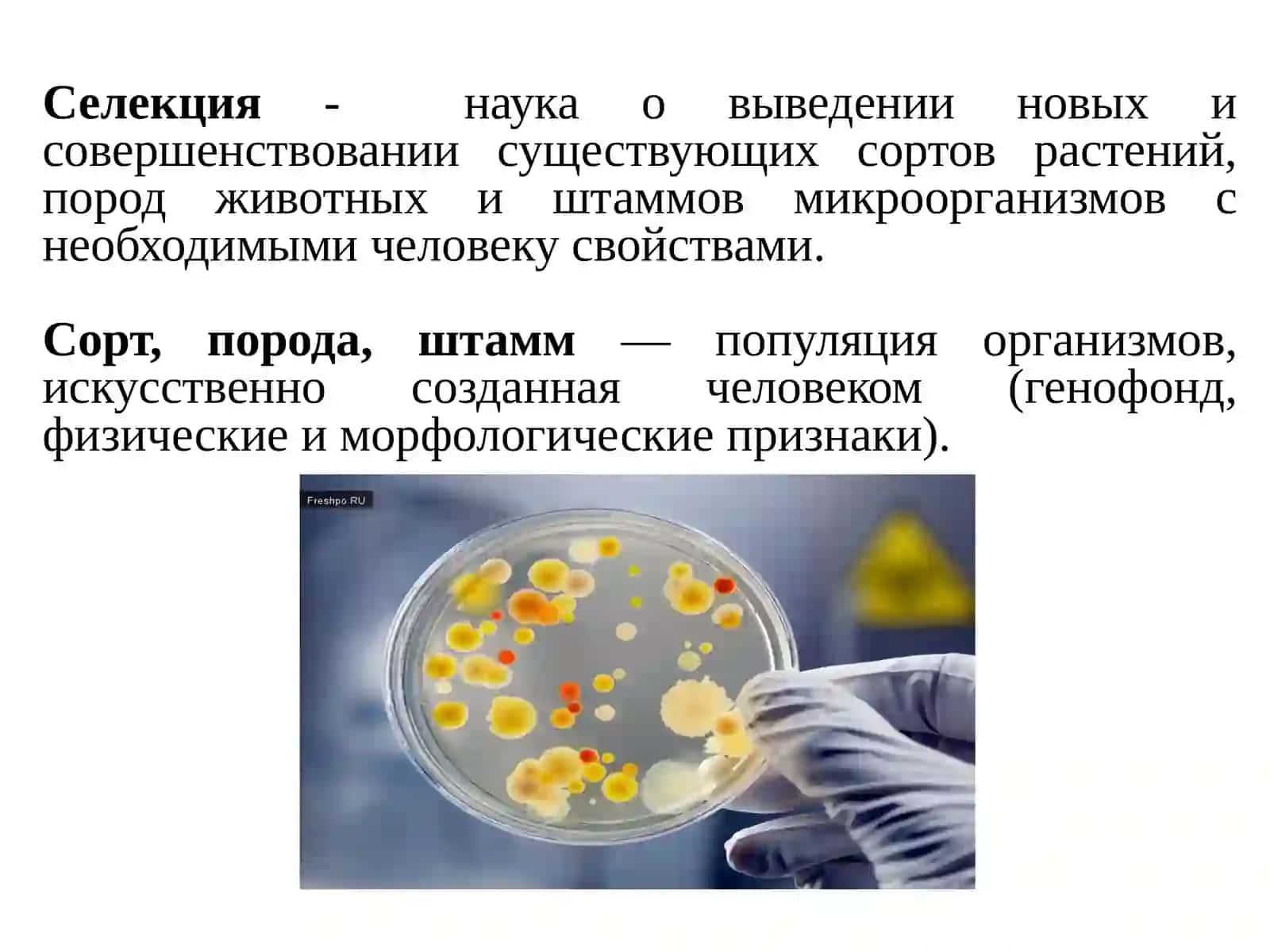 Основные методы селекции и биотехнологии 2