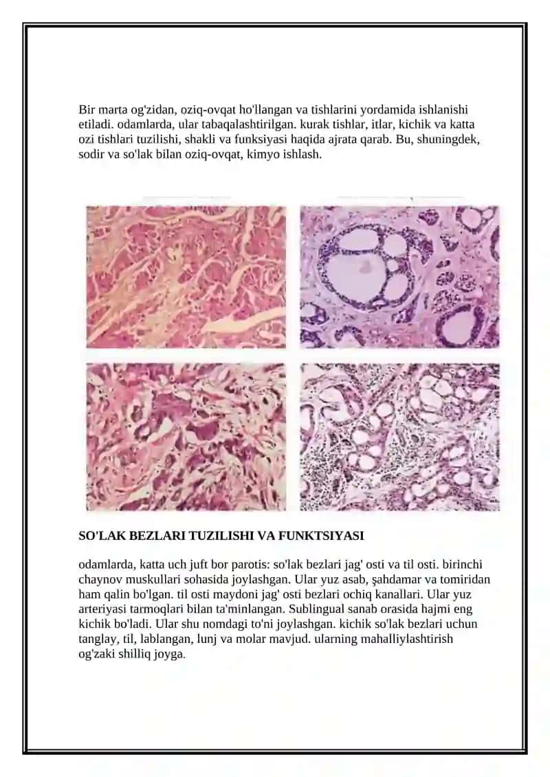 So'lak Bezlari Tuzilishi Va Funktsiyasi 2