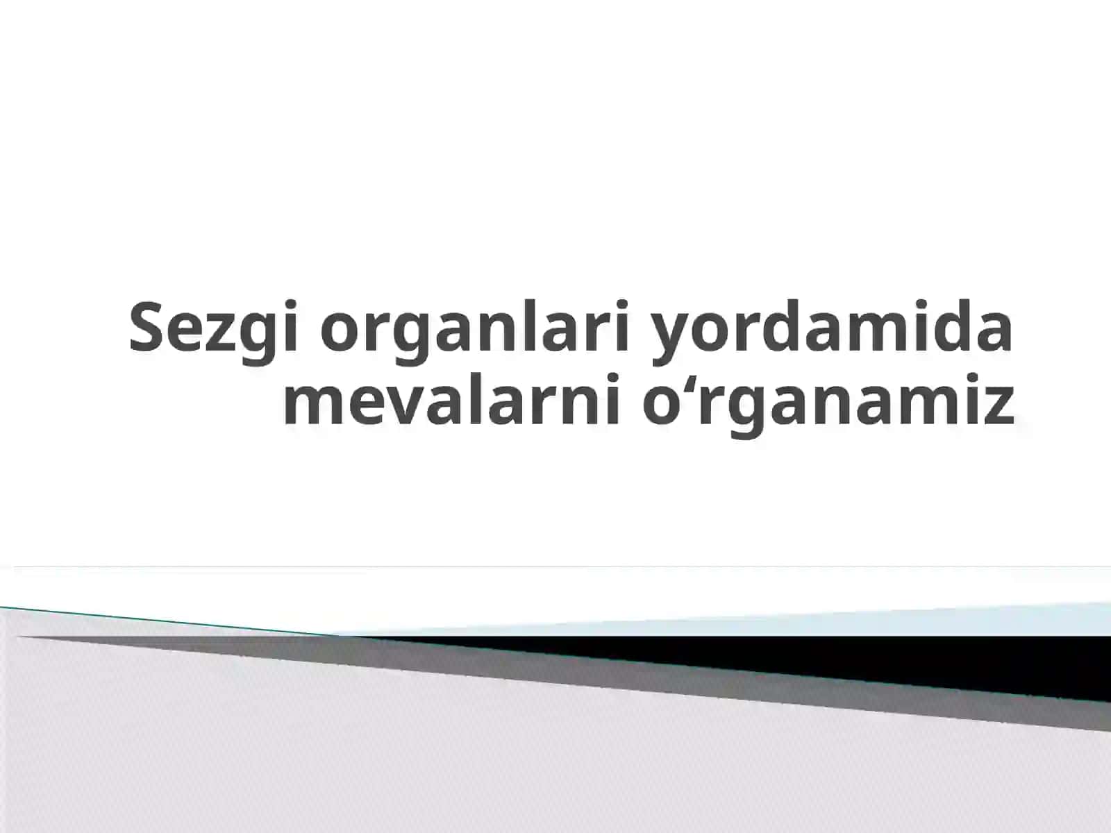 Sezgi Organlari Yordamida Mevalarni O'rganamiz 2