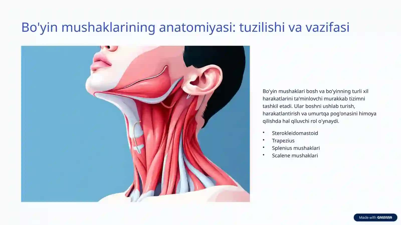 Bo'yin mushaklari fiziologiyasi: Keng qamrovli tushunish 2