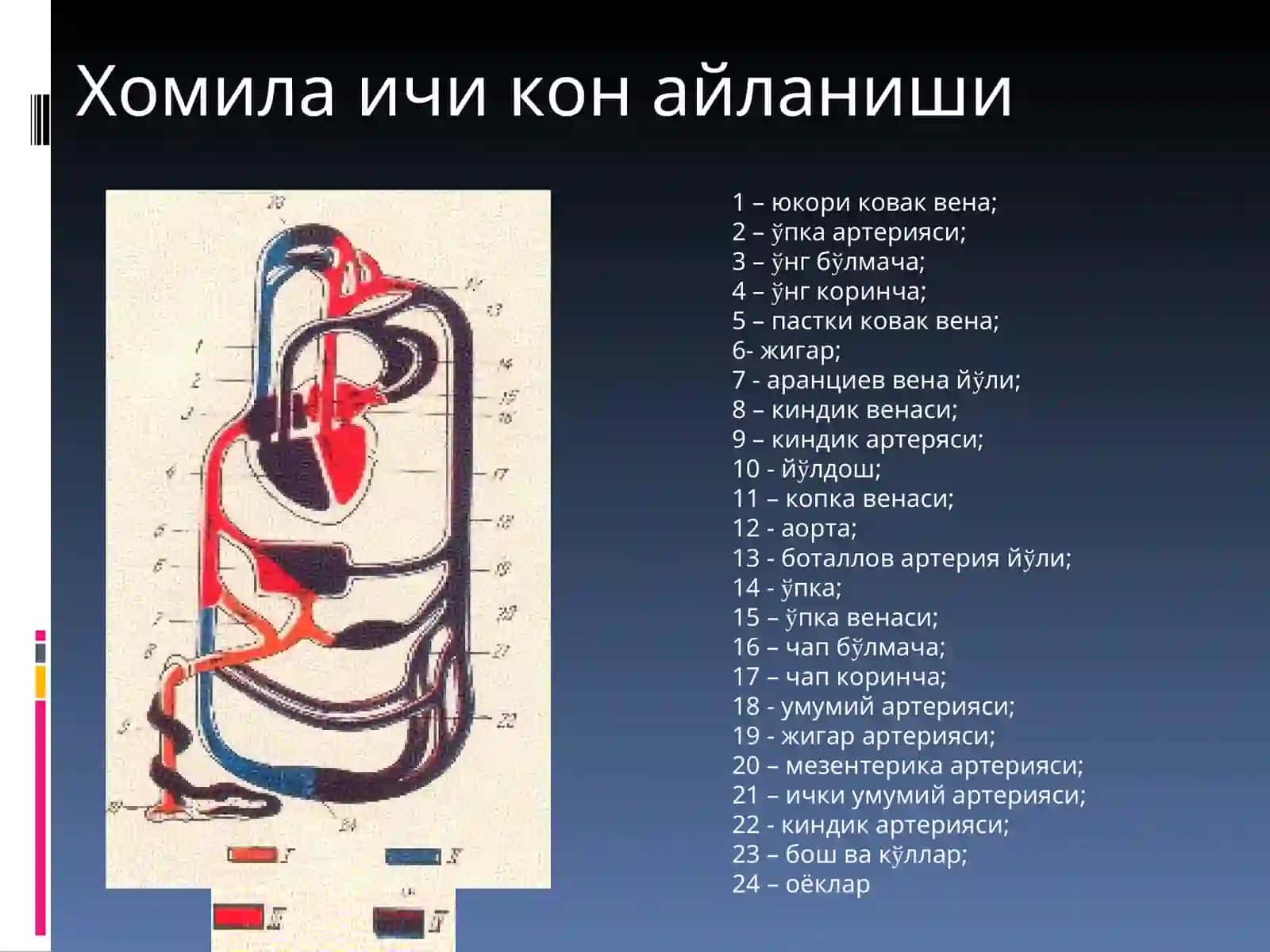 Юракда шовкин синдроми: тугма ва орттирилган юрак нуксонлари 2