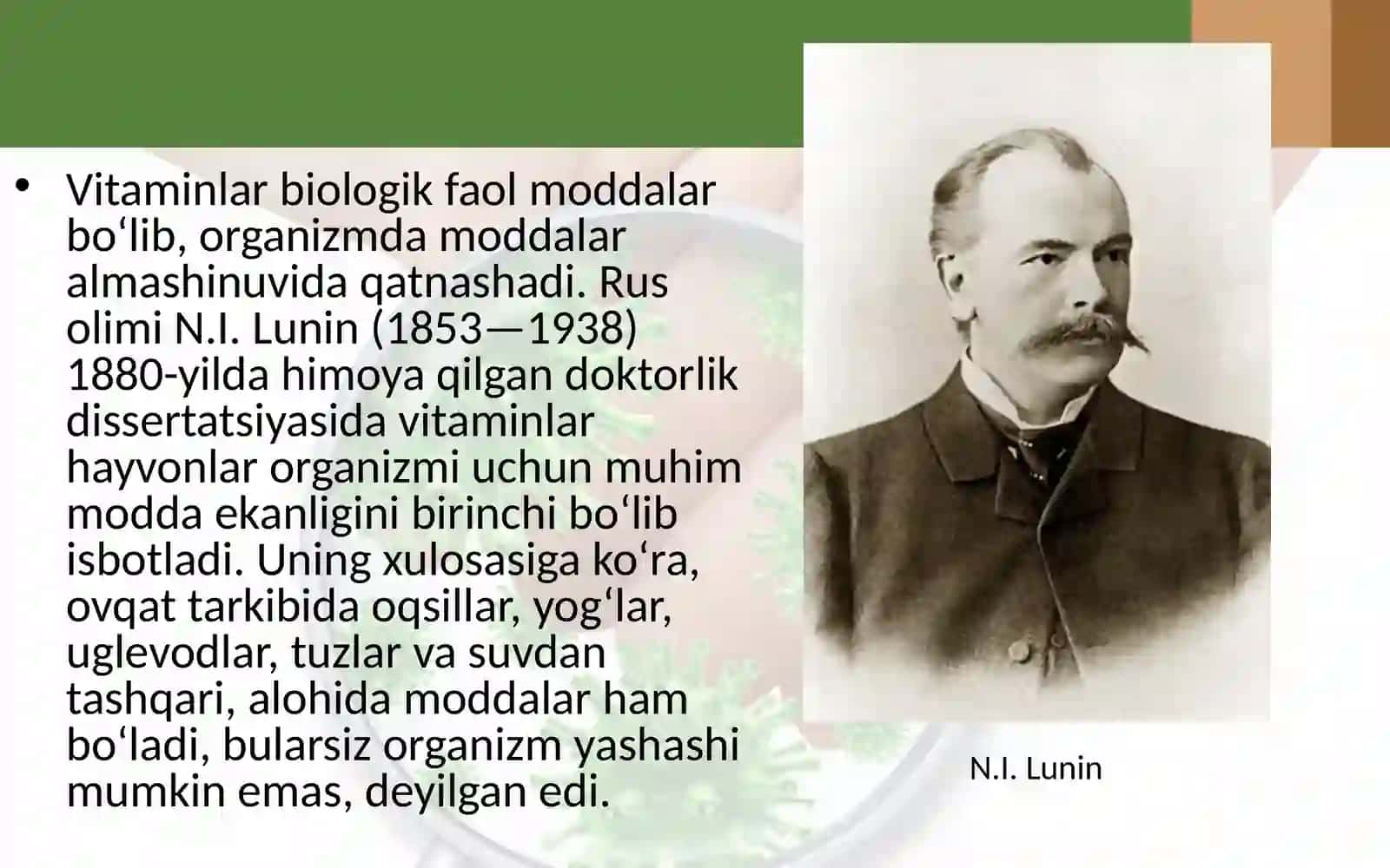 Vitaminlar biologik faol moddalar 2