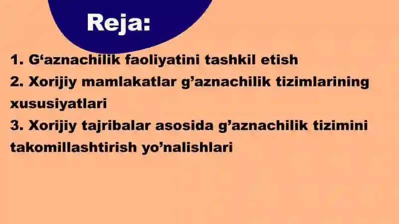 G‘aznachilik faoliyati mexanizmi. G‘aznachilik faoliyatini tashkil etishning xorij tajribalari. 2