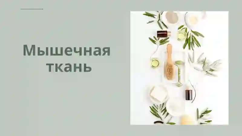 Презентация студентов 108-A группы 1-го факультета лечебного дела по русскому языку 2