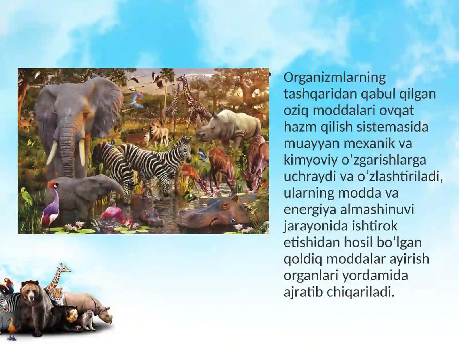 11-sinf Biologiya dars ishlanma. Hayvonlarning ayirish va jinsiy organlari evolutsiyasi 2