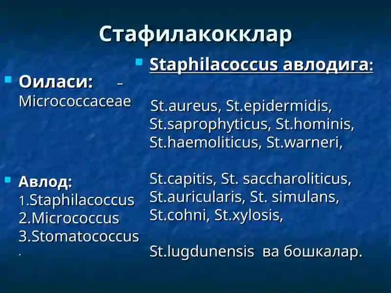 Йирингли яллиғланиш жараёнларини келтириб чиқарувчи микроорганизимлар 2