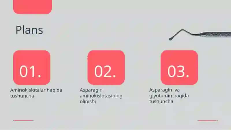 Asparagin va glyutamin aminokislotalarni ishlab chiqarish biotexnologiyasi 2