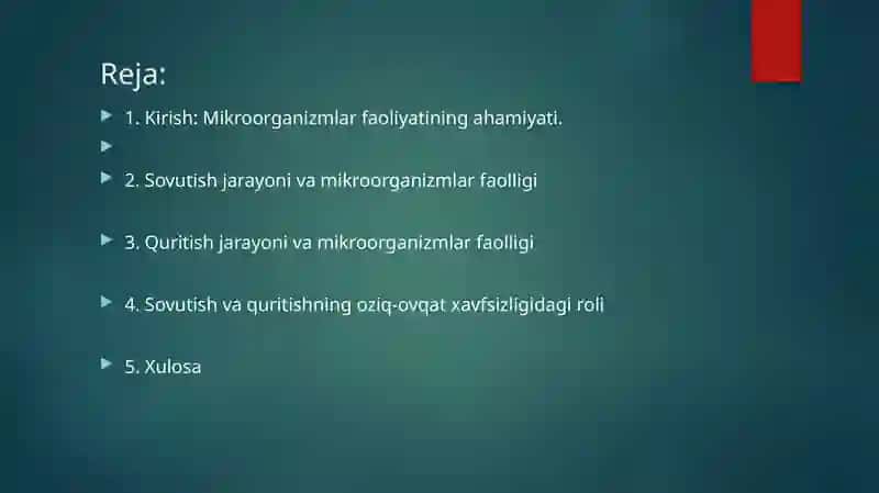 Mikroorganizmlar faoliyati 2