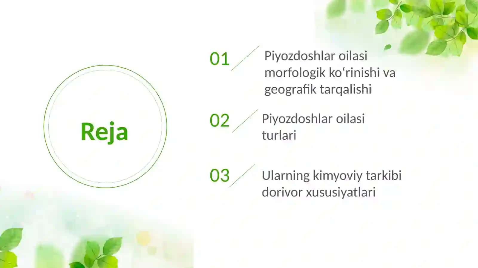 Piyozdoshlar oilasi turkum turlari 2