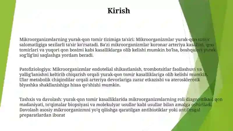 Yurak Qon Sistemasiga Mikroorganizimlarni Tasiri 2