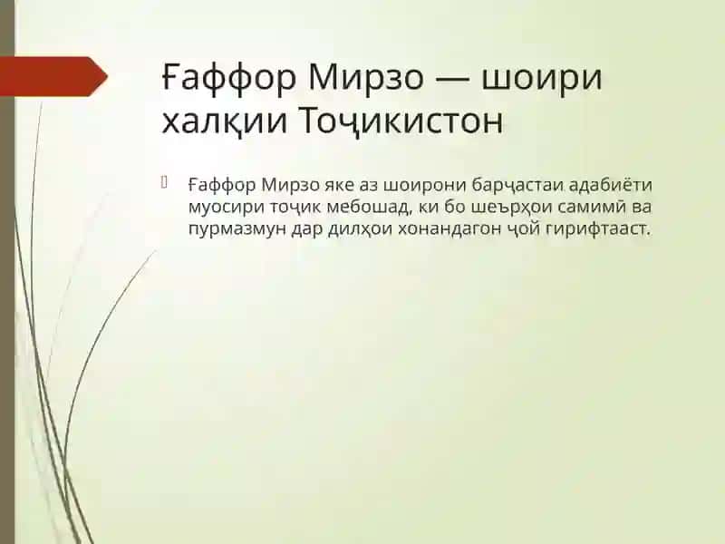 Ғаффор Мирзо 2