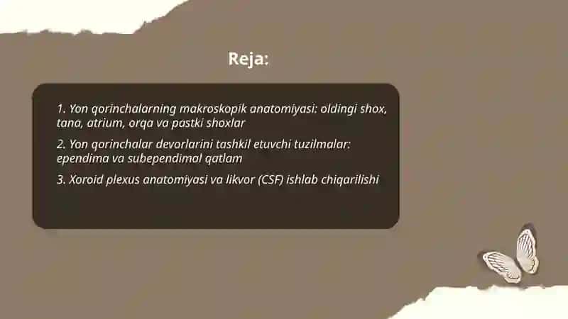 Oxirgi miya yon qorinchalar anatomiyasi va ularning funksional ahamiyati 2