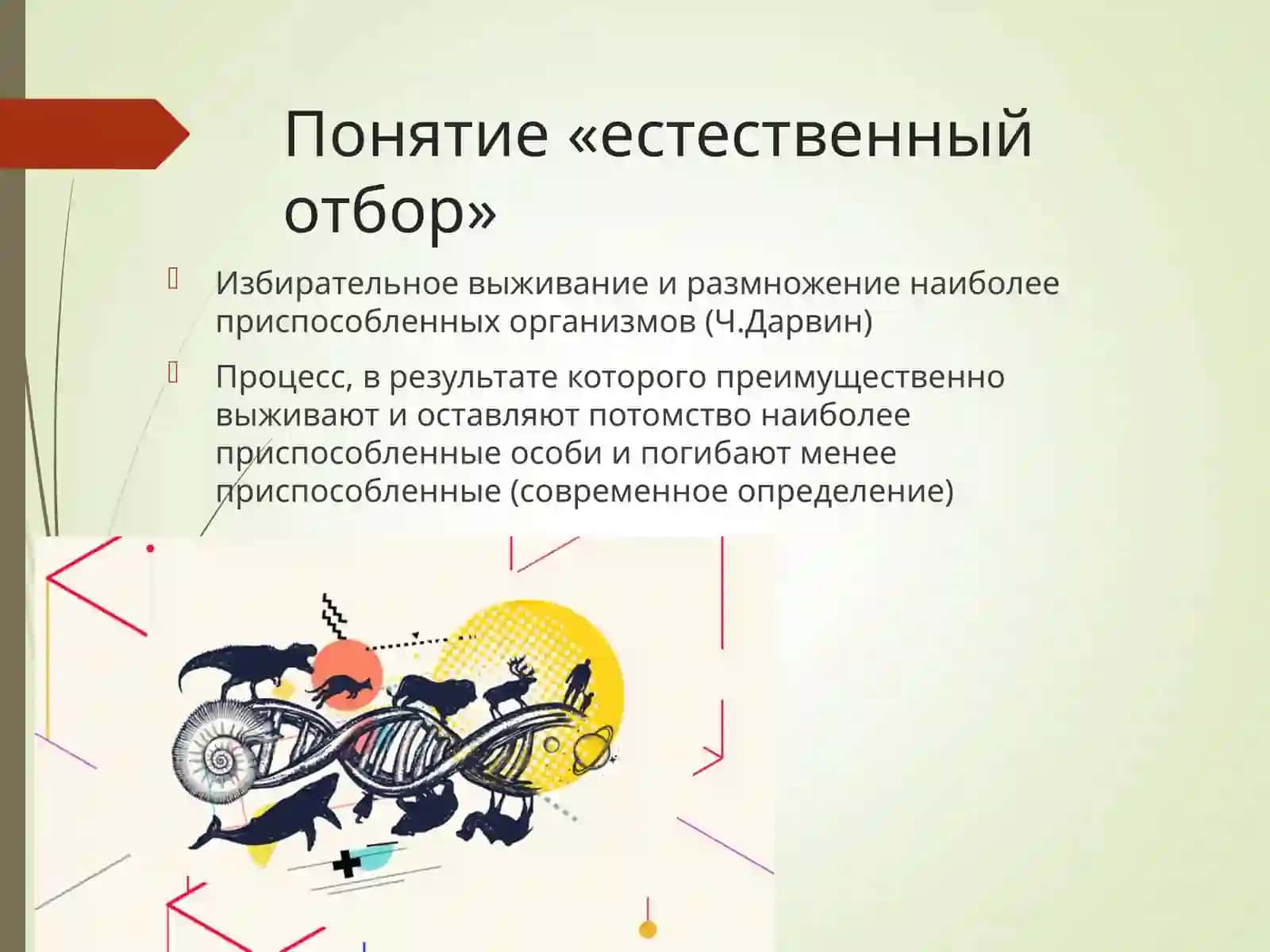 Естественный отбор и его значение в эволюции 2
