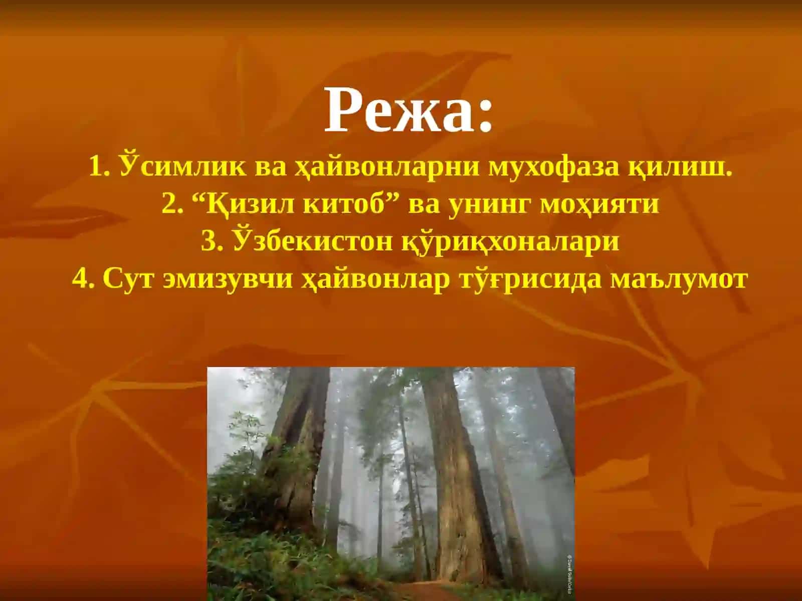 Ўсимлик ва ҳайвонларни муҳофаза қилиш 2