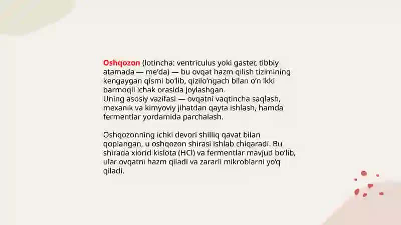 Oshqozon 2