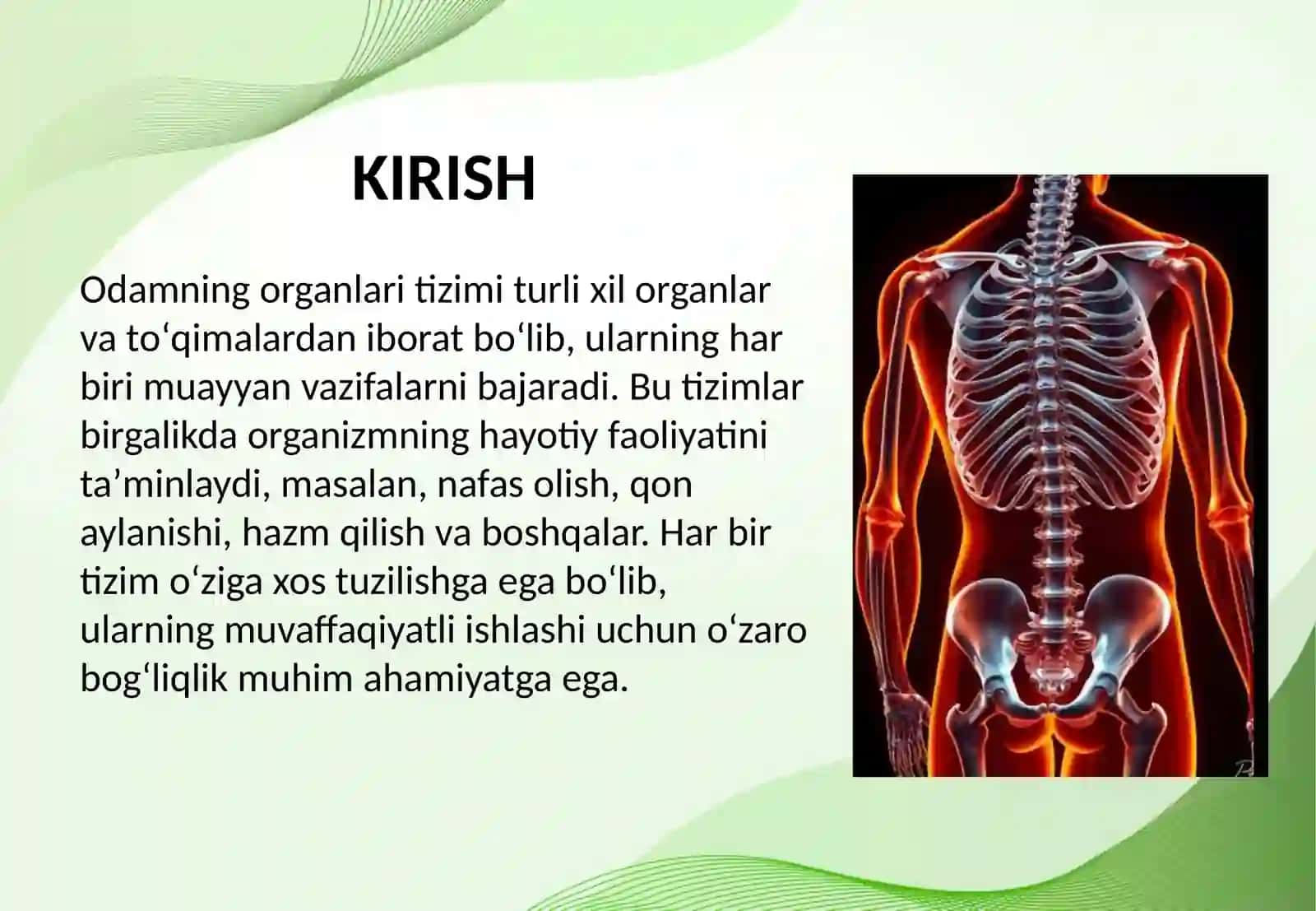 Odam va uning organlari tizimi tuzilishi va vazifalari 2