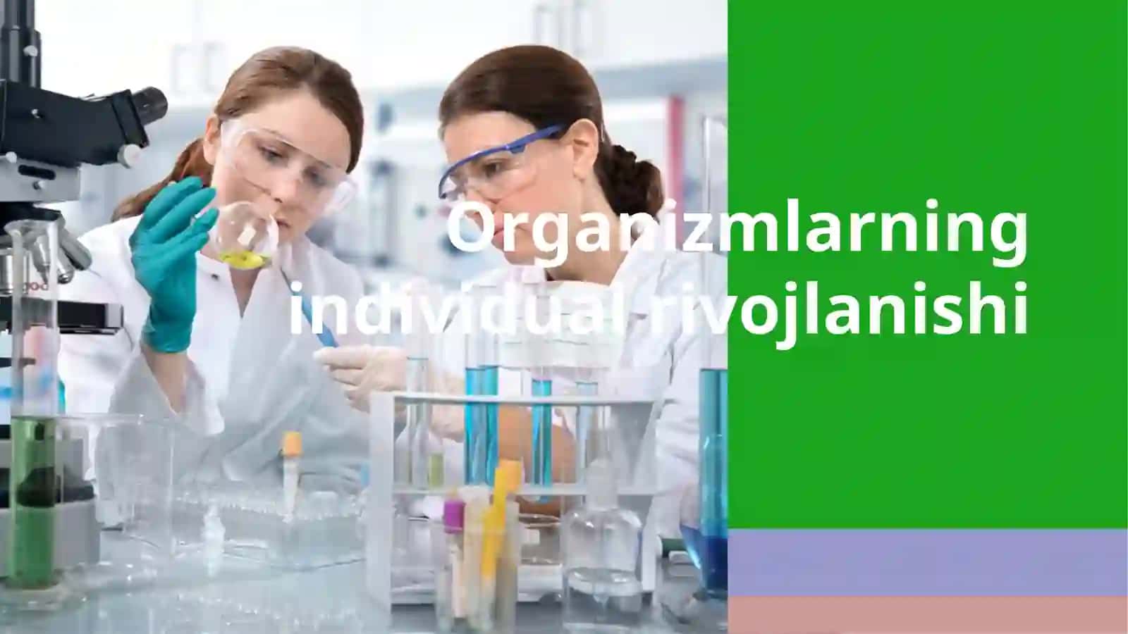 Organizmlarning individual rivojlanishi 2