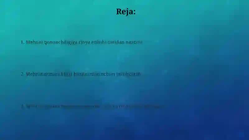 Mehnat qonunlariga rioya etilishini nazorat qilish 2