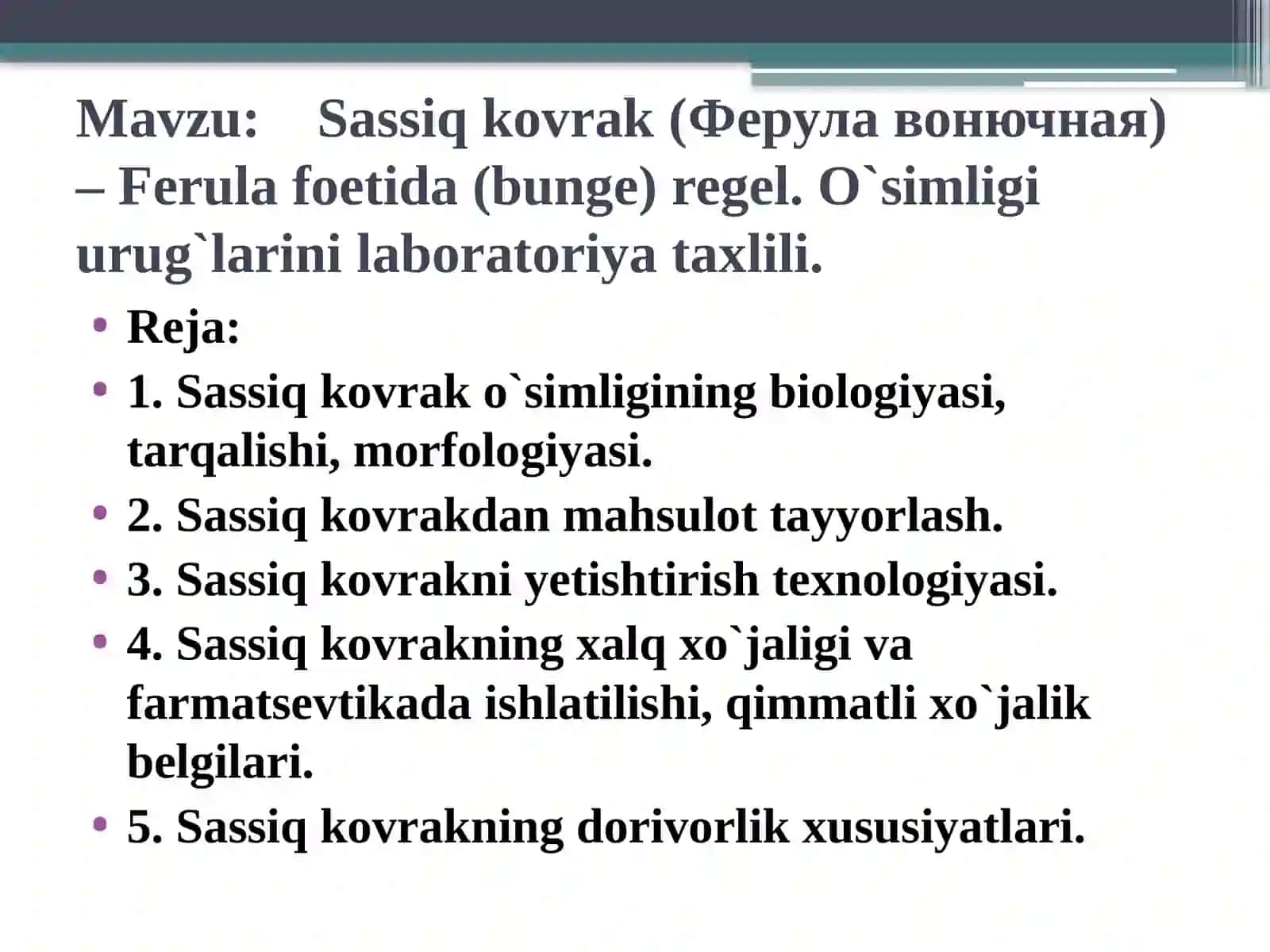 Sassiqkovrak (Ферулавонючная) – Ferula foetida (bunje) regel 2