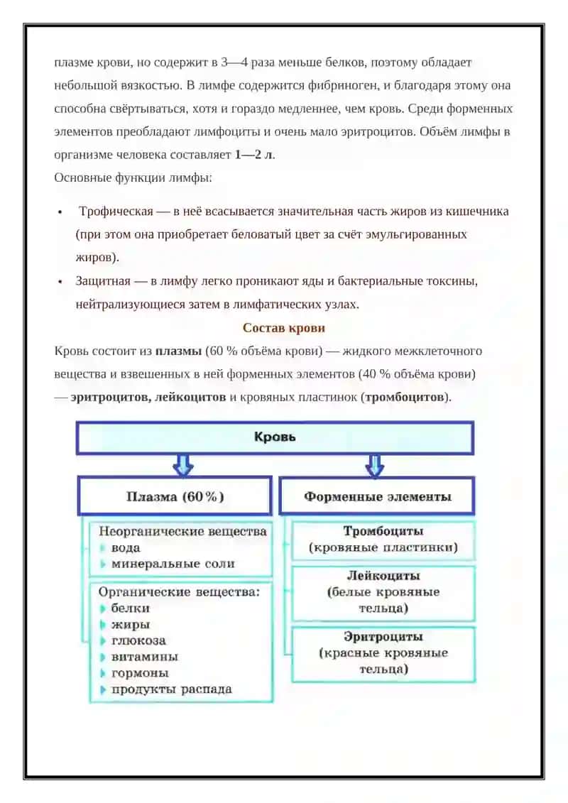 Внутренняя среда организма 2
