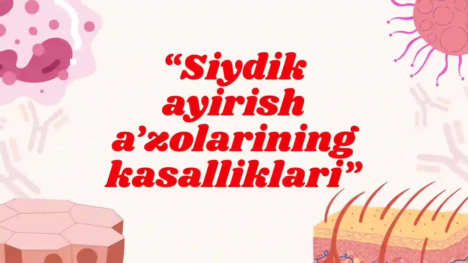 Siydik ayirish a'zolarining kasalliklari 2