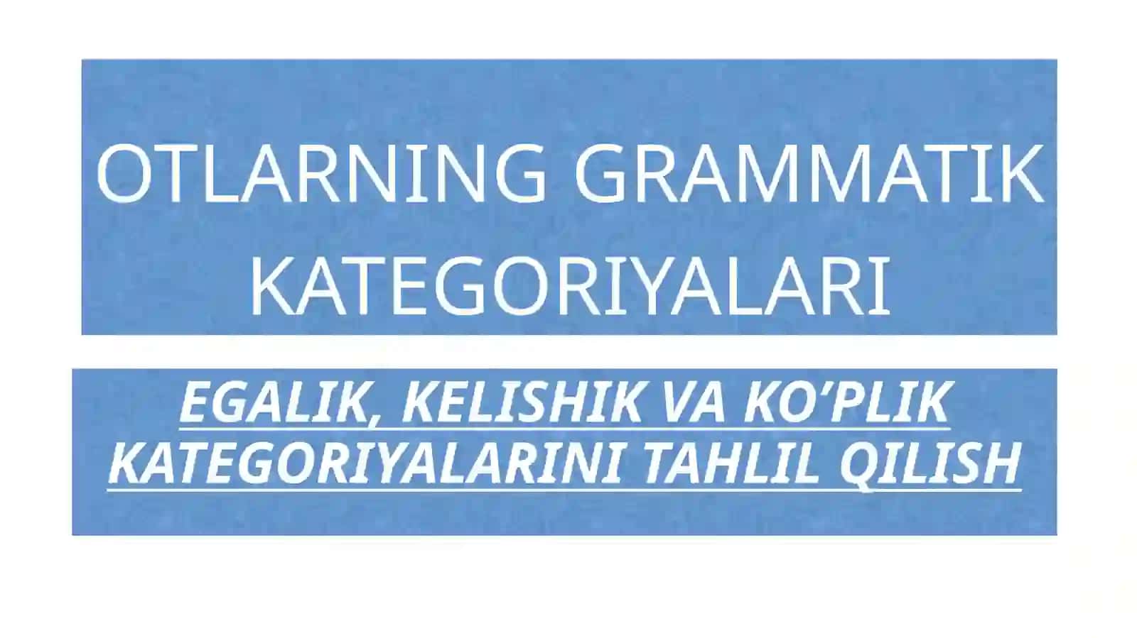 OTLARNING GRAMMATIKKATEGORIYALARI 2