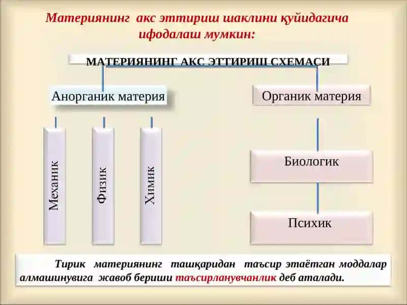 Психика ва онгнинг тараққиёти 2