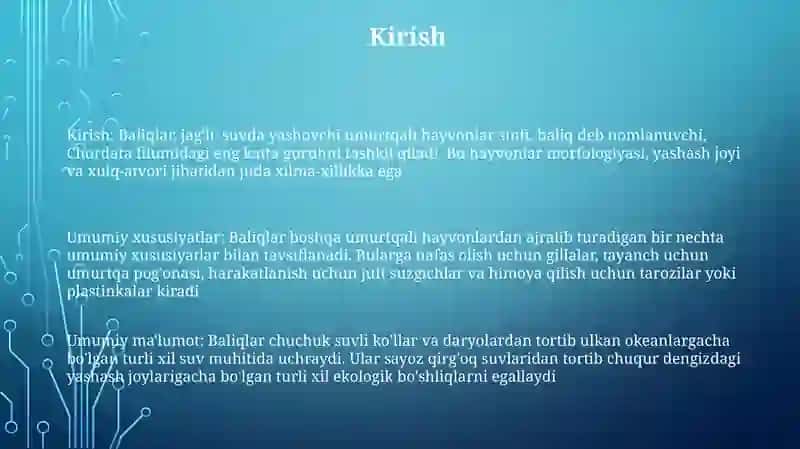 Baliqlar Katta Sinfi Umumiy Tavsifi Va Umumiy Ma'lumotlar 2