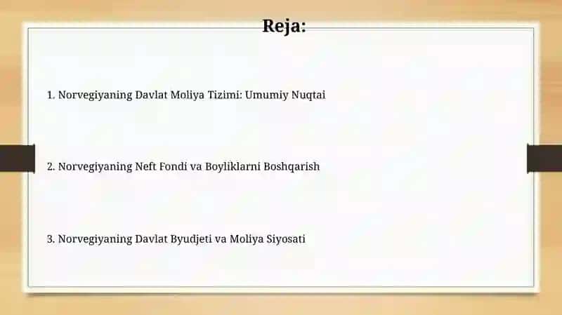 Norvegiyaning Davlat Moliya Tizimi 2