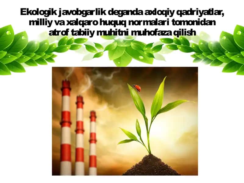 Ekologik huquqbuzarlik uchun javobgarlik 2