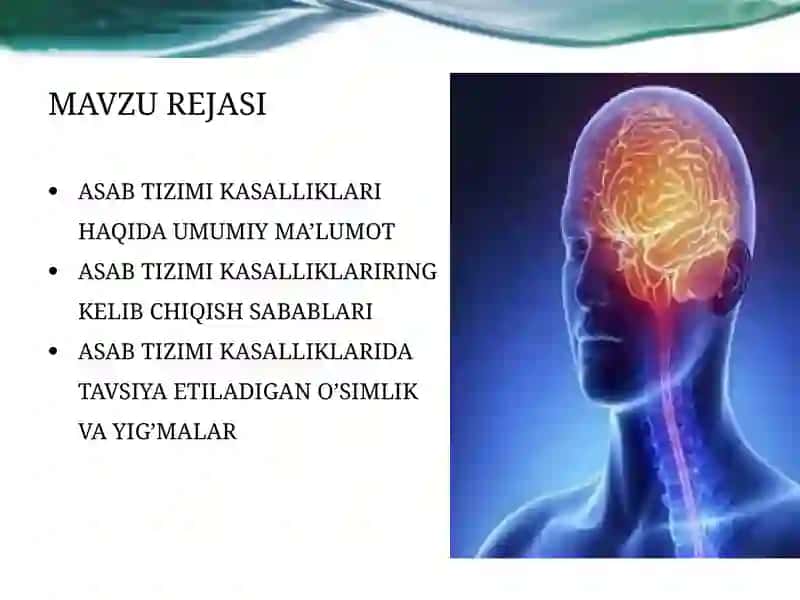 ASAB TIZIMI KASALLIKLARINI DAVOLASH UCHUN TAVSIYA ETILADIGA O’SIMLIK VA YIG’MALAR 2