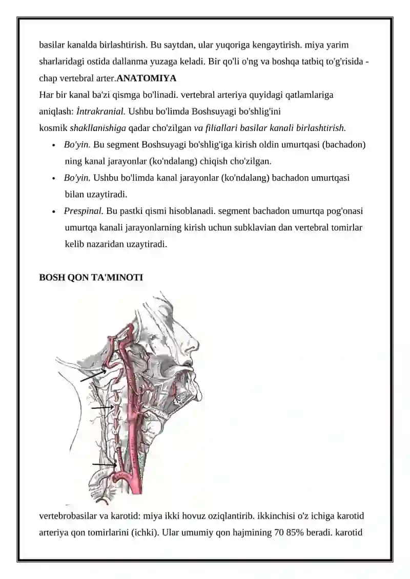 Orqa Miya Arteriyalari. Vertebral Tomir Sindromi: Alomatlar, Tashxis, Davolash 2