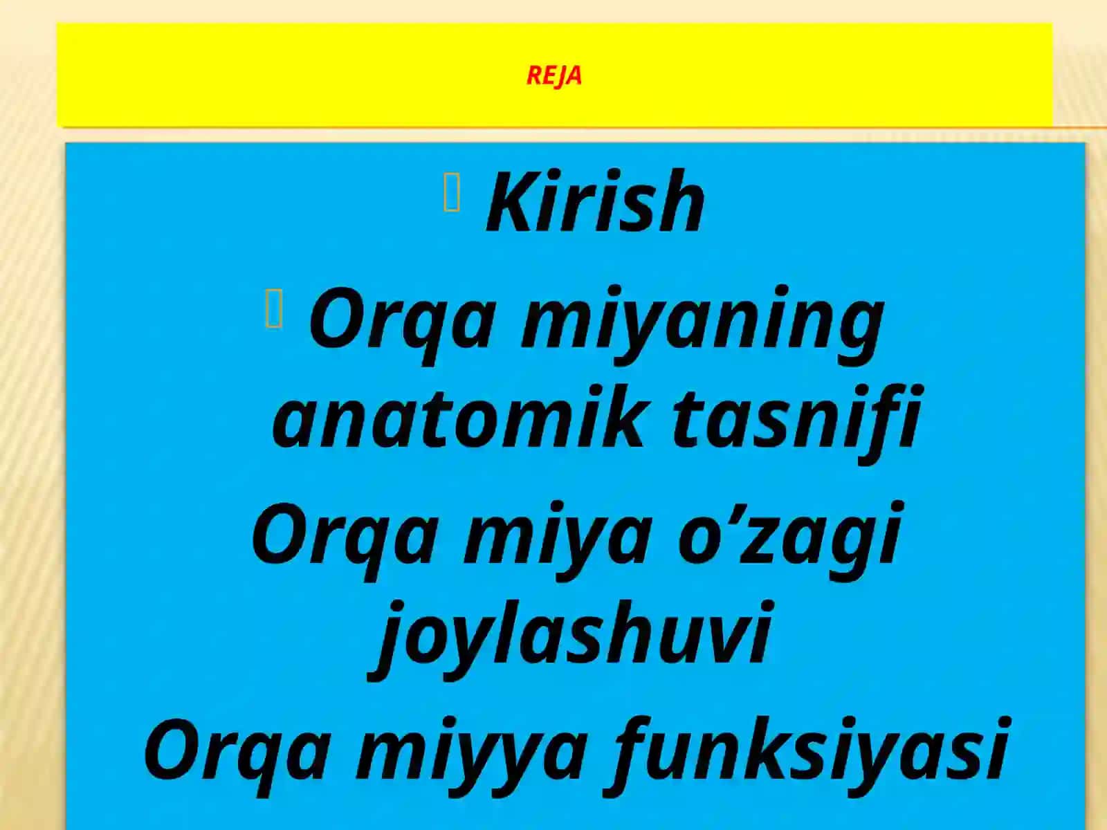 Orqamiyaning joylashuvi va ahamiyati 2